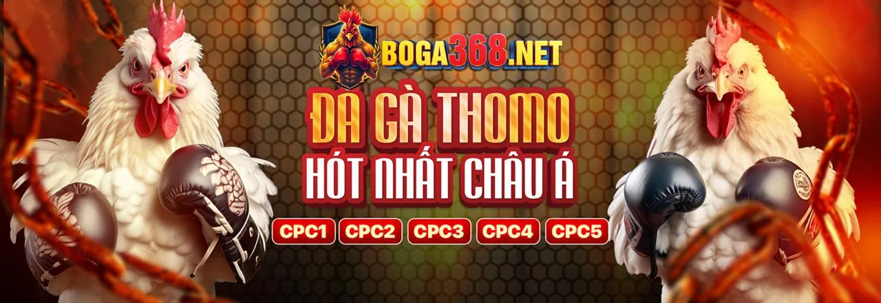 Sòng bạc trực tuyến Oklavip nhà cái